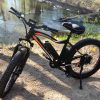 ecotric fat tire electric bike